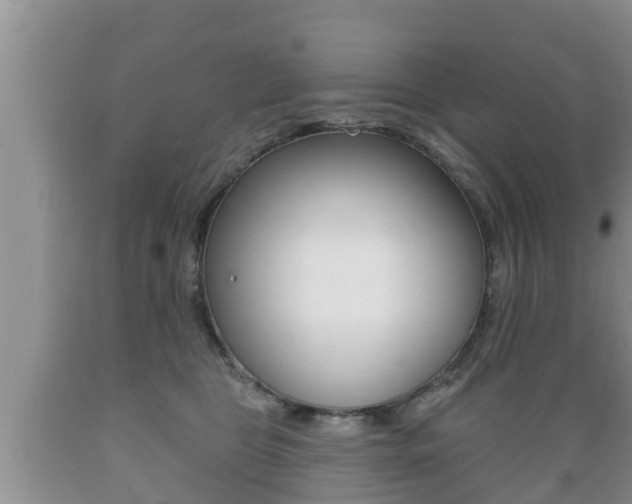 X0000089760469200706210958