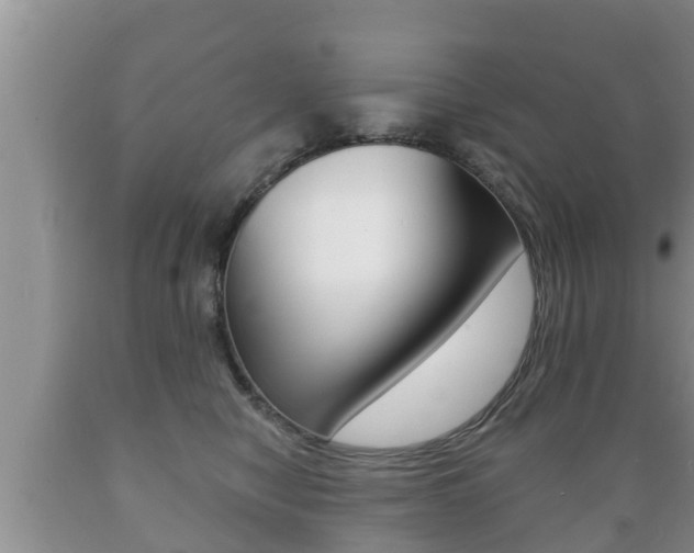 X0000089760470200706210958