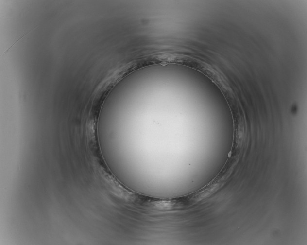 X0000089760473200706210958
