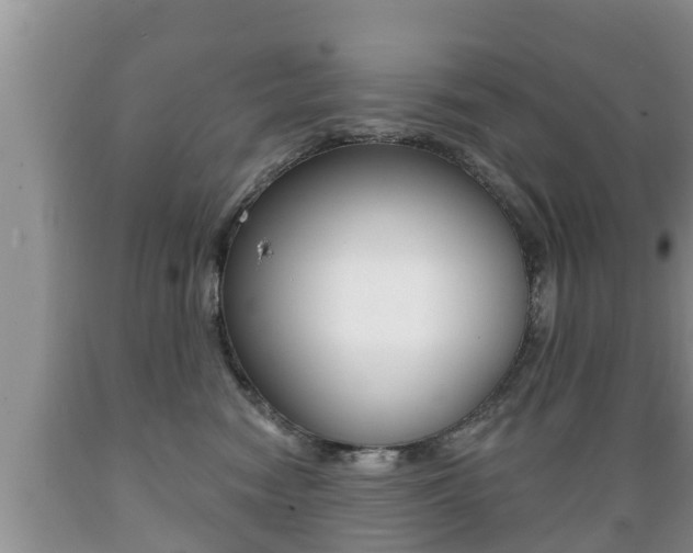X0000089760474200706210958