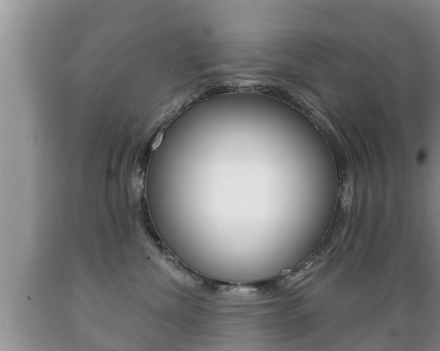 X0000089760476200706210958