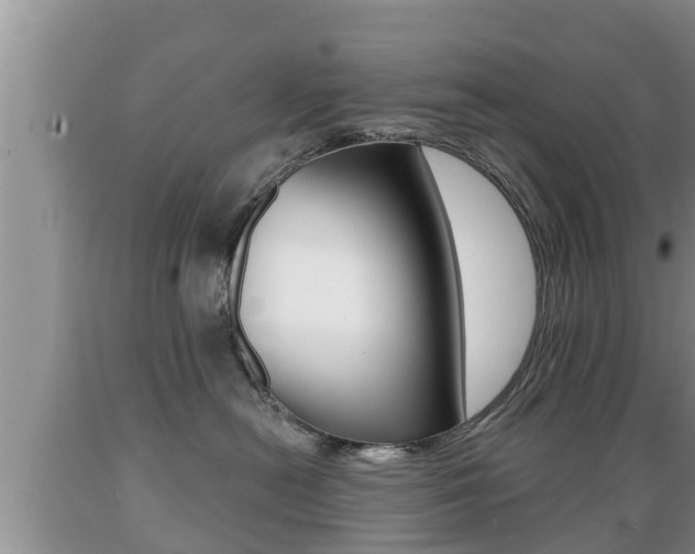 X0000089760478200706210958