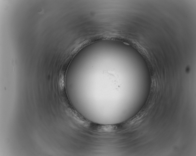 X0000089760479200706210958