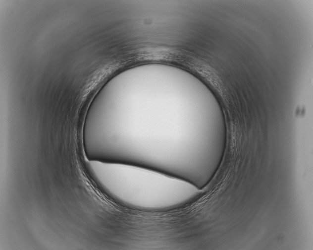X0000089760482200706210958