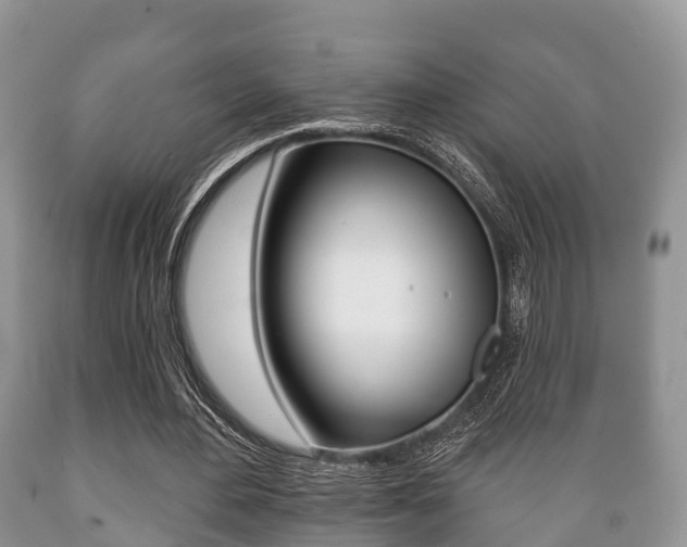 X0000089760484200706210958