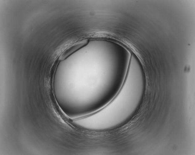 X0000089760485200706210958