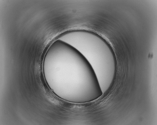X0000089760487200706210958