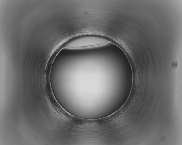 X0000089760488200706210957