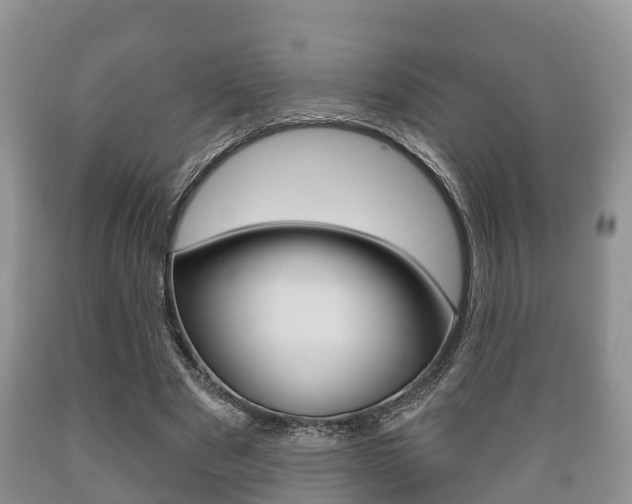 X0000089760489200706210957