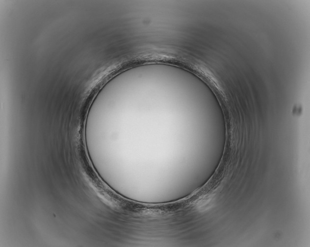 X0000089760490200706210957