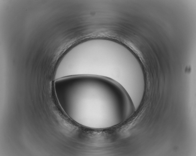 X0000089760493200706210957