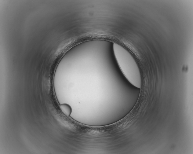 X0000089760494200706210957