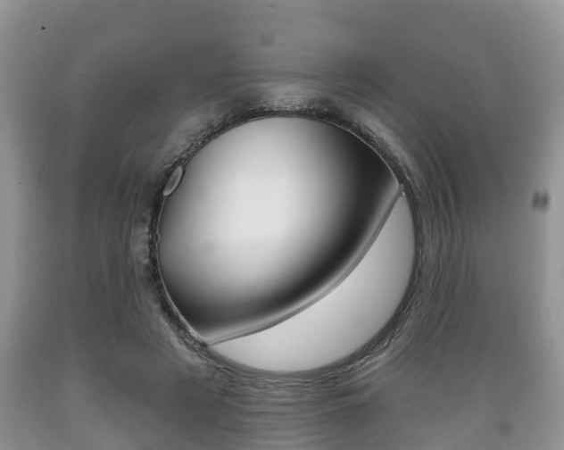 X0000089760497200706210957