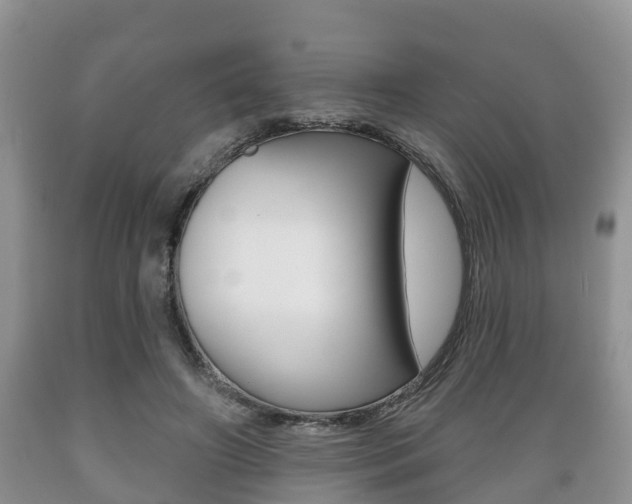 X0000089760498200706210957