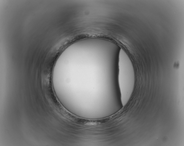X0000089760499200706210957