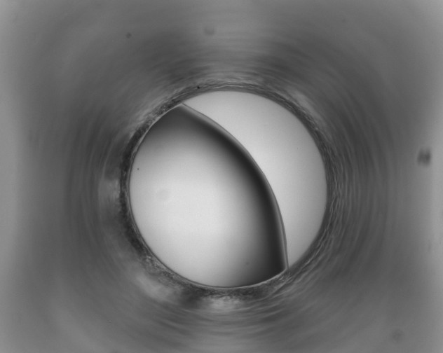 X0000089760500200706210957