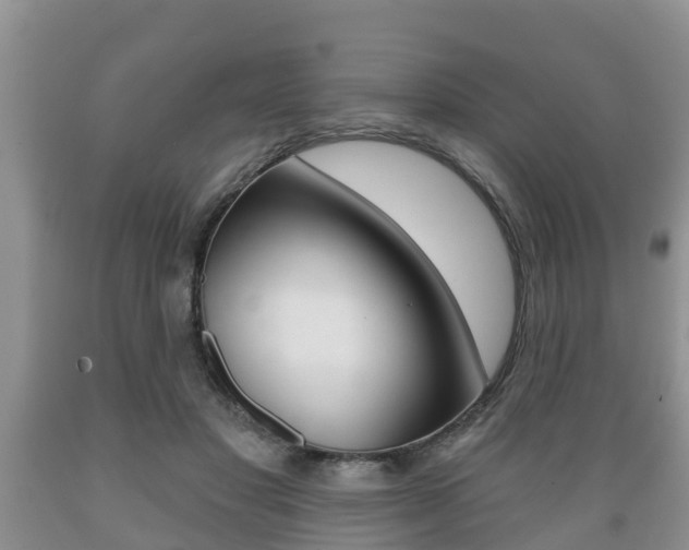 X0000089760501200706210957