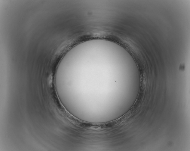 X0000089760502200706210957