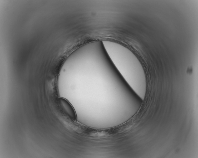 X0000089760503200706210957
