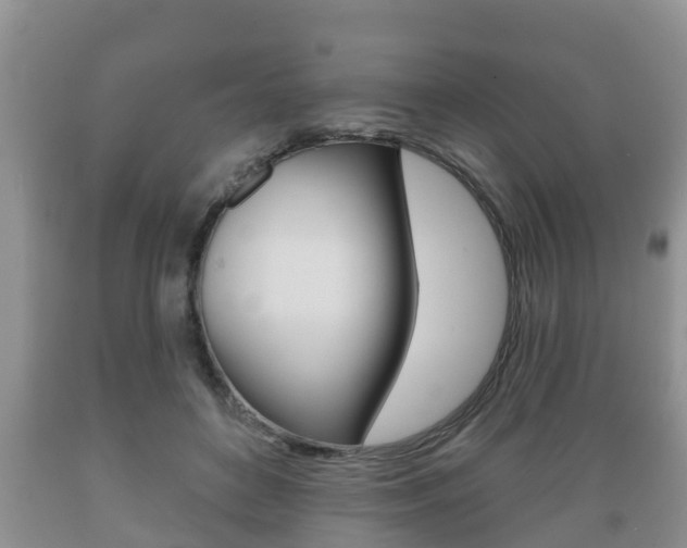 X0000089760504200706210957