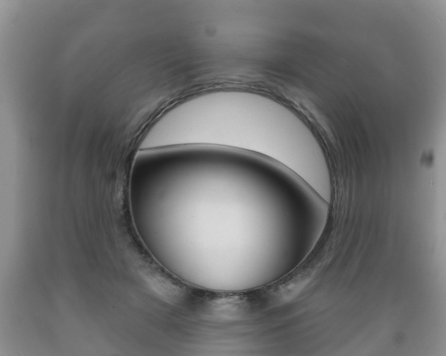 X0000089760505200706210957