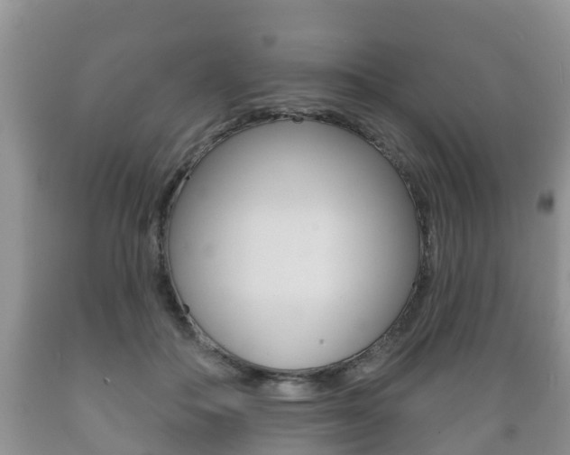 X0000089760506200706210957