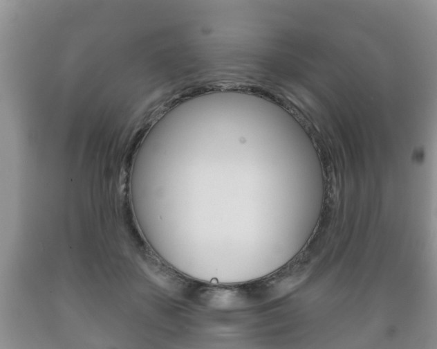 X0000089760507200706210957