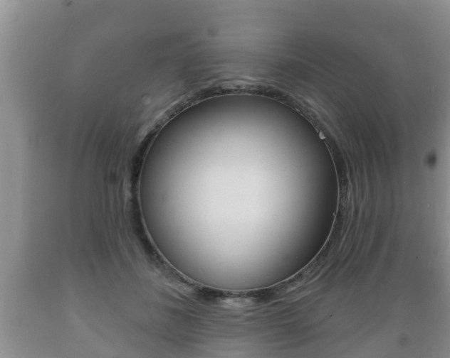 X0000089760508200706210957