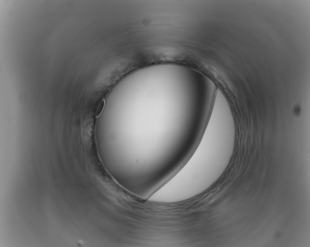 X0000089760509200706210957