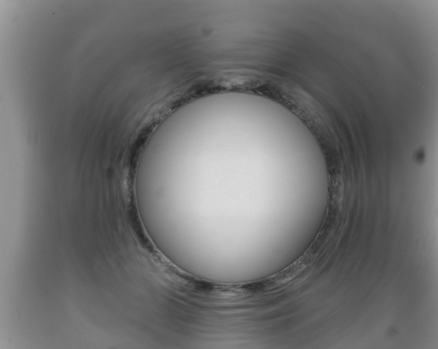 X0000089760510200706210957
