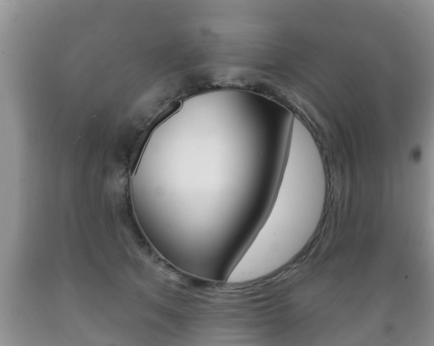 X0000089760513200706210957