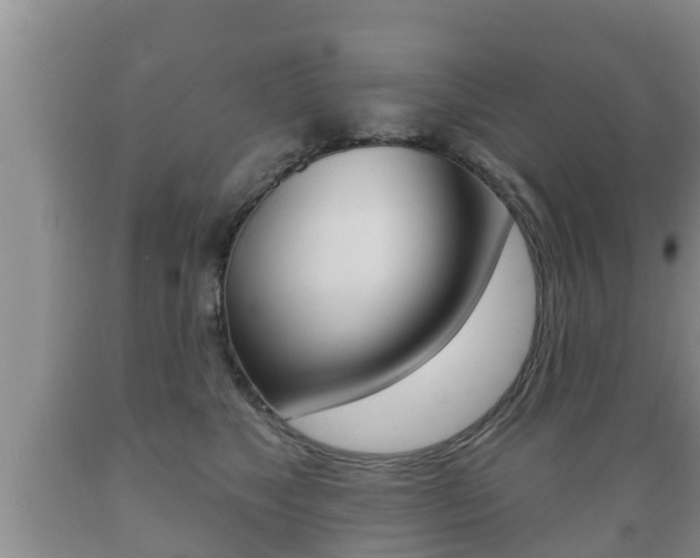 X0000089760517200706210957