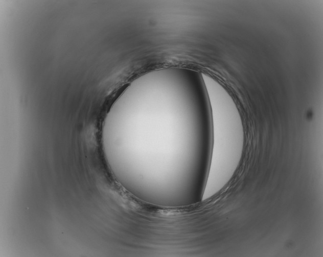 X0000089760520200706210957