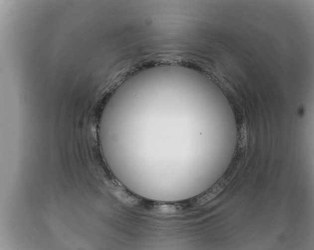 X0000089760522200706210957