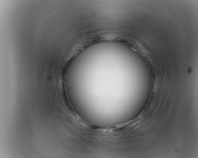 X0000089760524200706210957