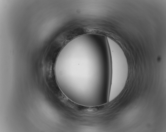 X0000089760525200706210957