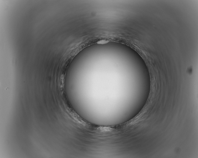 X0000089760528200706210957