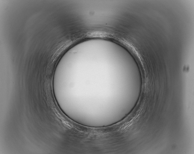 X0000089760529200706210956