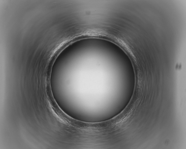 X0000089760530200706210956