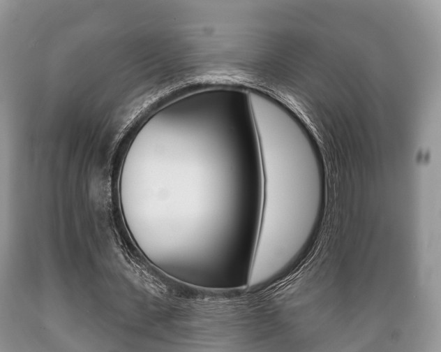X0000089760531200706210956