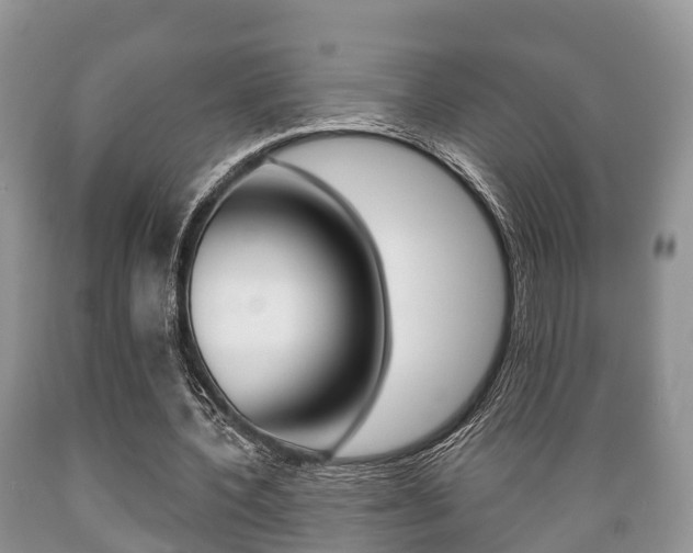 X0000089760532200706210956