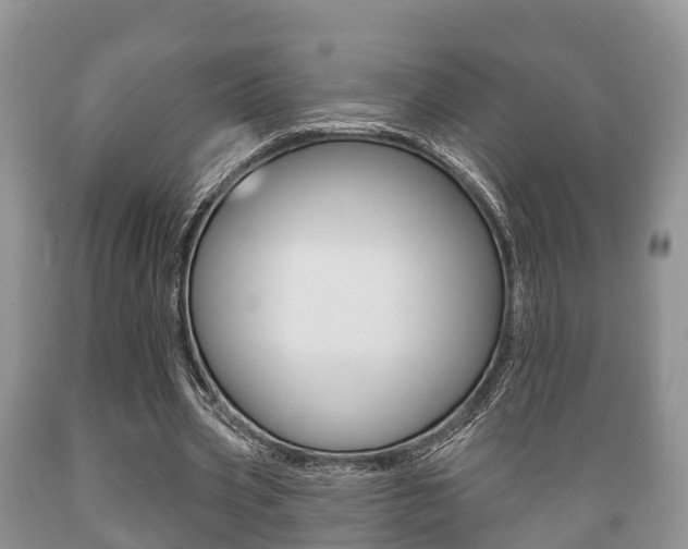 X0000089760533200706210956