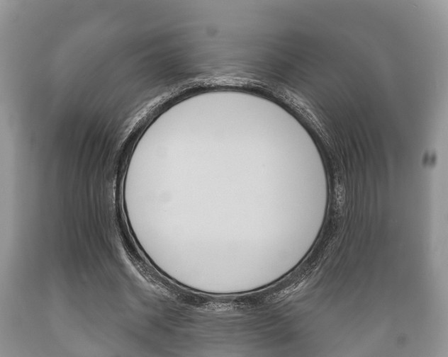 X0000089760534200706210956