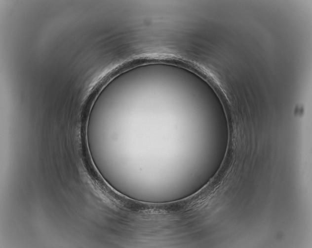 X0000089760535200706210956