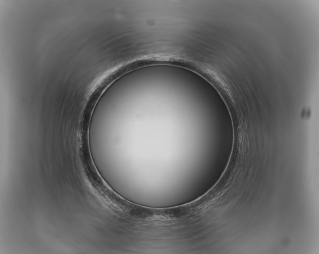 X0000089760536200706210956