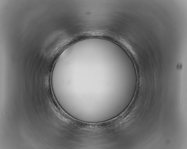 X0000089760537200706210956