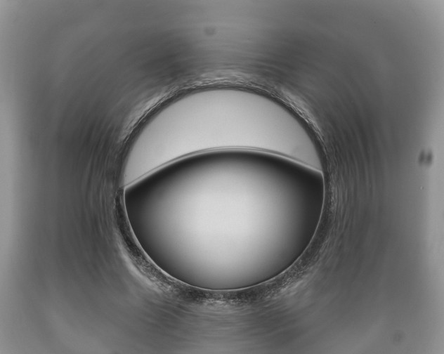 X0000089760538200706210956