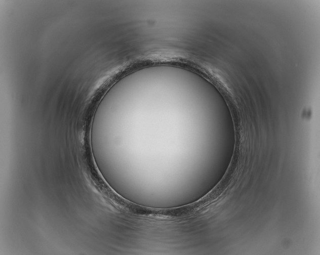 X0000089760539200706210956