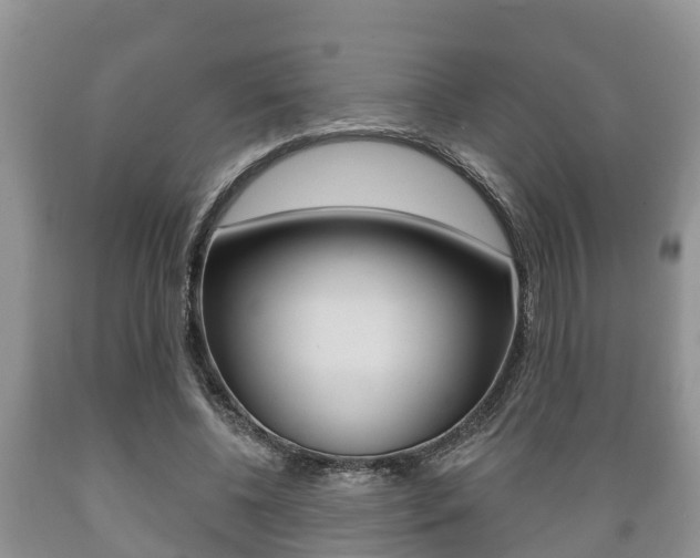 X0000089760540200706210956