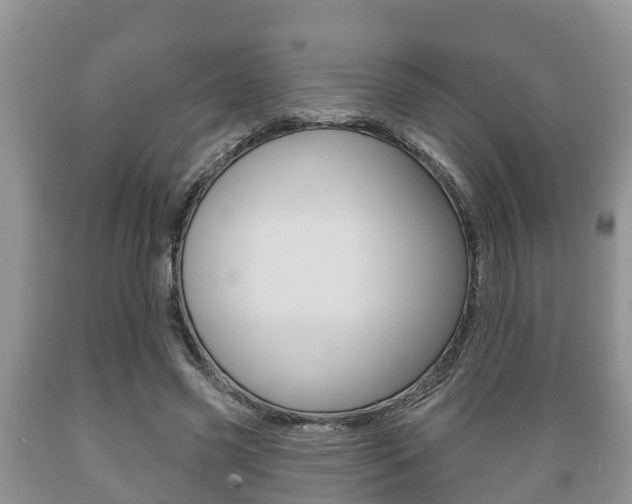 X0000089760541200706210956